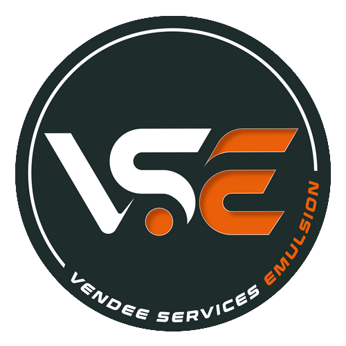 logo vse
